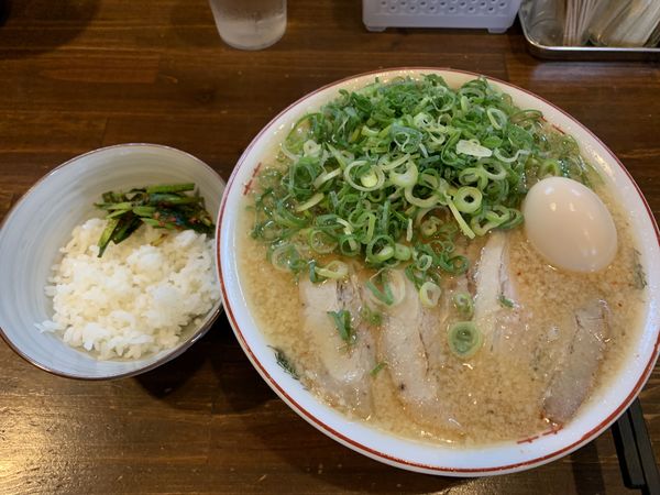 「九条ねぎ味玉中華そば750+小ごはん50=800円」@中華そば専門店 麺や 和楽の写真