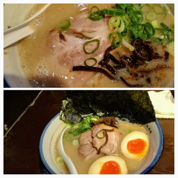 「砦ラーメン825海苔卵ラーメン990」@麺の坊 砦の写真