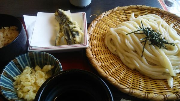 「杵屋のざるうどん 600円＋なす天 130円」@実演手打うどん 杵屋 本厚木ミロード店の写真