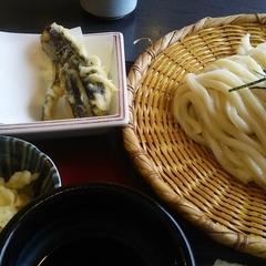 実演手打うどん 杵屋 本厚木ミロード店の画像