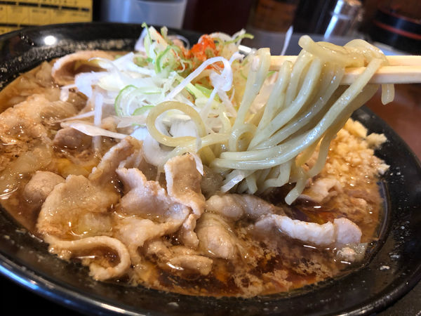 「月替りラーメン　肉そば醤油　800円」@麺屋むげんの写真