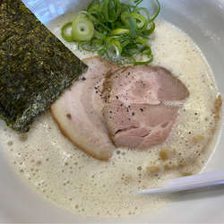 塩ラーメン 鶏白湯