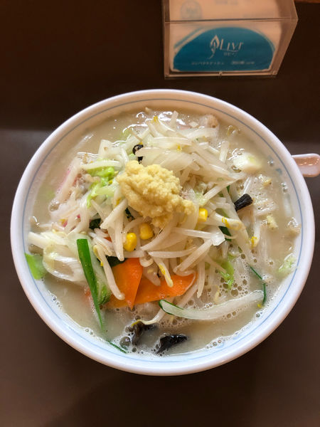 「毎日野菜たんめん　750円」@たんめん専門店 百菜の写真