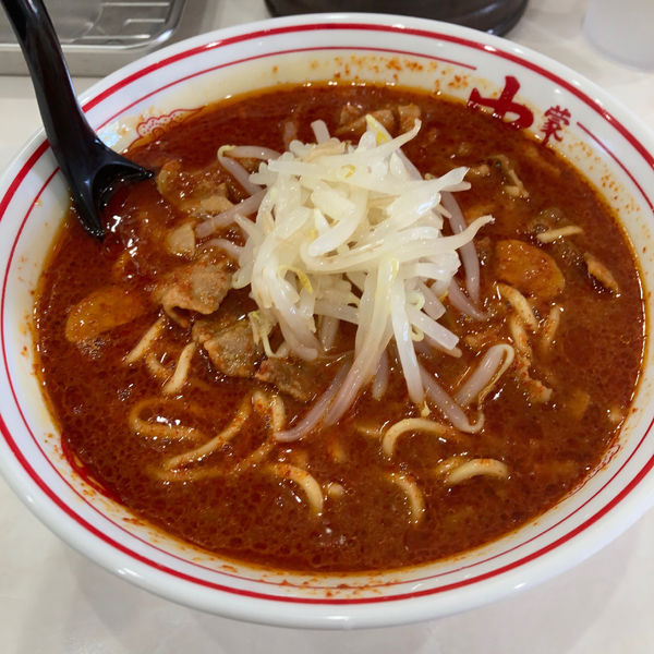 「北極ラーメン」@蒙古タンメン中本 高崎店の写真