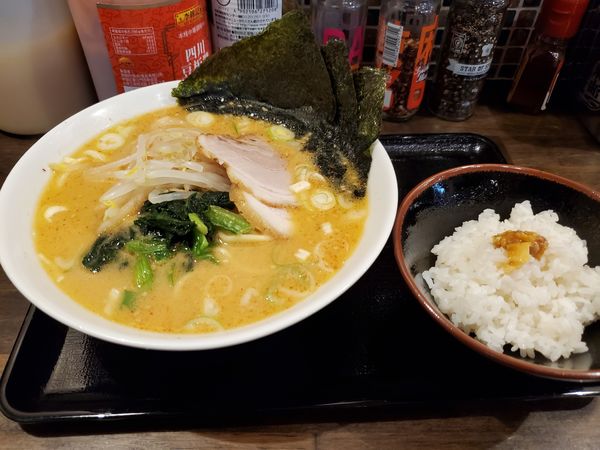 「とんこつ味噌ラーメン」@AOZORAの写真