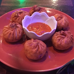 ムスタングの写真