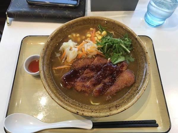 「恵那鶏カツのカレーラーメン﻿」@信州味噌ラーメン なかせんどう 恵那峡SAの写真