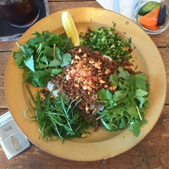 オクシモロン コマチの画像