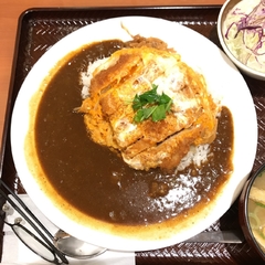 ごはん処 かつ庵 鶴見中央店の画像