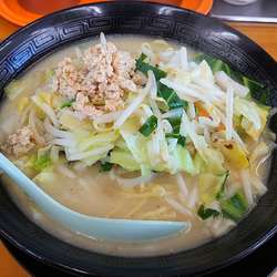 濃厚鶏白湯タンメン 大盛 800