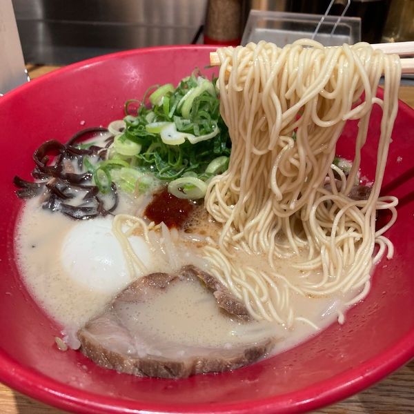 「味玉赤丸」@博多一風堂 本厚木ミロードイースト店の写真