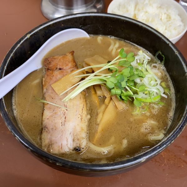 「【夜】ラーメン(太麺)830円+ライス」@ラーメン ひかりの写真