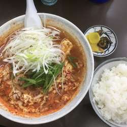 南ばん麺 900円 ライス150円