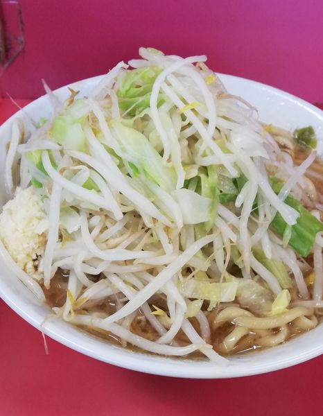 「小ラーメン野菜ニンニク　700円」@ラーメン二郎 環七一之江店の写真