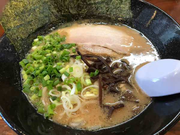 「豚骨ラーメン　まる」@博多ラーメン とんこつ家の写真