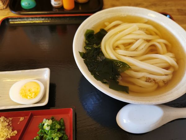 「だしかけ　並」@うどん みやびの写真