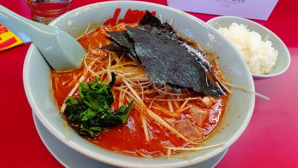 「辛味噌ネギラーメン激辛＋半ライス1000円(クーポンネギ)」@ラーメン山岡家 鶴ヶ島店の写真