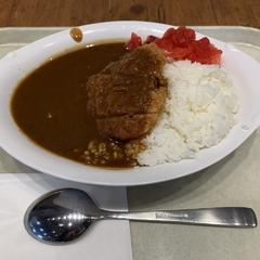 御殿場カリー 御殿場プレミアムアウトレット店の画像