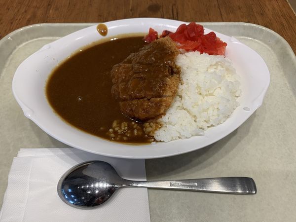 「カツカリー（大盛り）」@御殿場カリー 御殿場プレミアムアウトレット店の写真