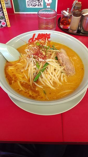 「(限定)特製もやし味噌ﾗｰﾒﾝ(中盛)」@山岡家 狭山店の写真