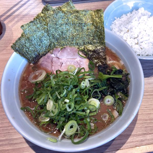 「ネギラーメン並（800円）麺少しやわらかめ＋小ライス（無料）」@らーめん 尾又家の写真