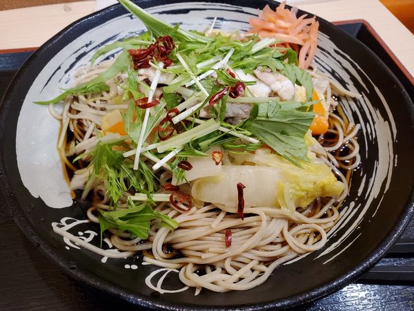 「冷やし肉野菜そば500円」@ゆで太郎 竹橋店の写真