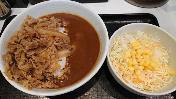 「肉だく牛カレー（＋生野菜：１１８円）＝７７６円　※」@吉野家 14号線登戸店の写真