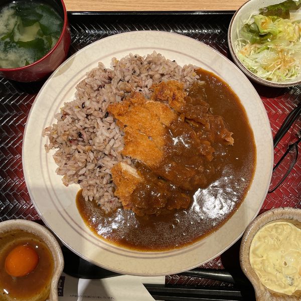 「スパイシーチキンかつカレー」@大戸屋 鶴見西口店の写真