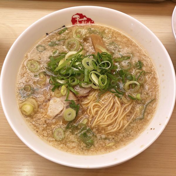 「ラーメン（クーポン）￥５００」@京都銀閣寺 ますたにラーメン 室町店の写真