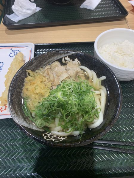 「塩豚ねぎうどん（小）」@はなまるうどん イオン幕張店の写真