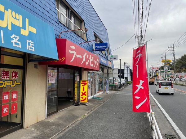 「ネギラーメン中盛」@ラーメンビックの写真