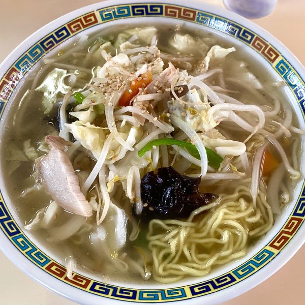 「塩野菜しなラーメン」@ラーメン科の写真