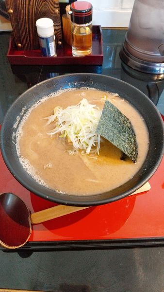 「煮干しだし中華そば(細麺)」@中華そば くりの木 北本店の写真