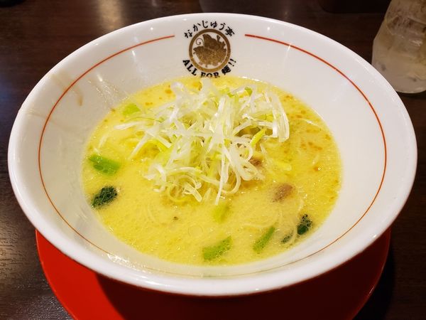 「鶏白湯塩らーめん」@らーめんや なかじゅう亭 高崎オーパ店の写真