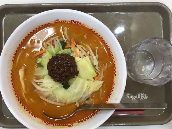 「野菜たっぷり担々麺　￥４９０」@スガキヤ 大府アピタ店の写真