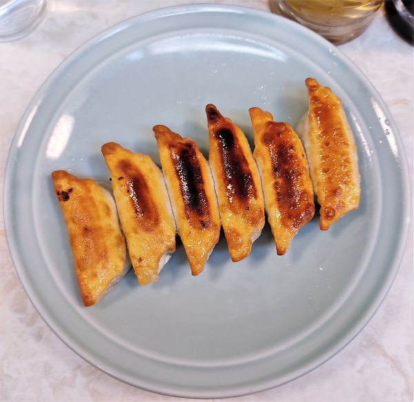 「餃子(6個)  420円」@餃子の王さまの写真