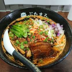 味噌担々麺