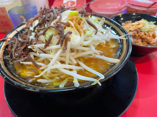 「野菜ラーメン＋きくらげ＋半賄い飯」@家系ラーメン とらきち家の写真