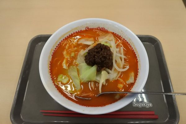 「野菜たっぷり担々麺￥４９０」@スガキヤ 春日井南フィール店の写真