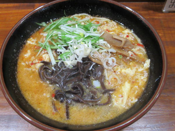 「たんたんめん（塩味）（中辛）（680円）」@ニューたんたんめん 府中店の写真