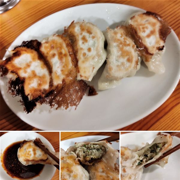 「餃子(5個)　400円」@ニュー菜苑の写真