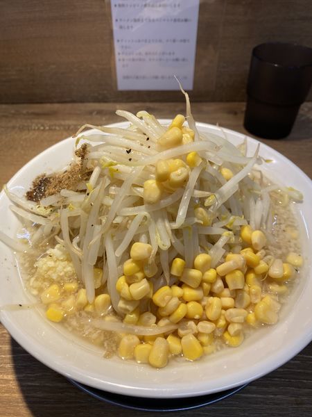 「限定 浜ソルト(細麺) ニンニク少なめ、魚粉」@麺屋 浜一の写真
