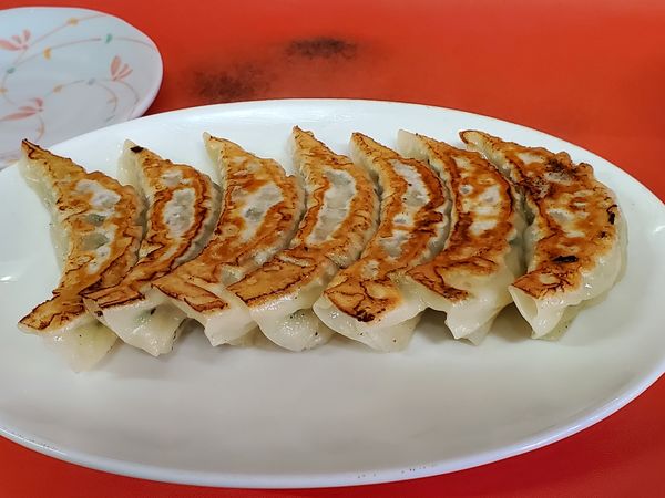 「鍋貼児餃子」@宝明楼 大口店の写真