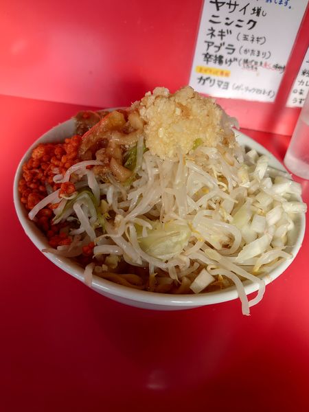 「豚そば　全部トッピング」@ひたちなか大盛軒の写真