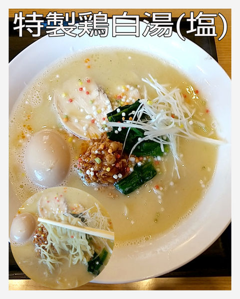 「特製鶏白湯ラーメン(塩)」@らぁめん山本の写真