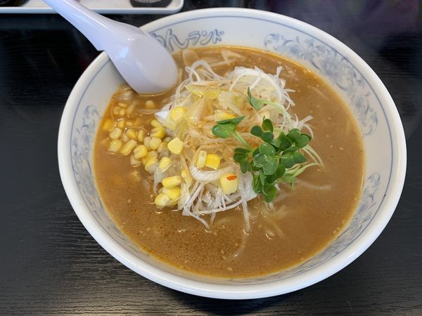 「ネギみそラーメン 730円」@らーめんランド 開南店の写真