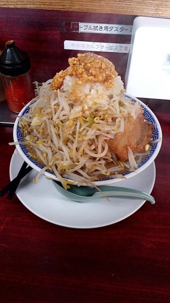 「ふじ麺（800円）小結300g（50円）野菜（50円）」@明神角ふじの写真