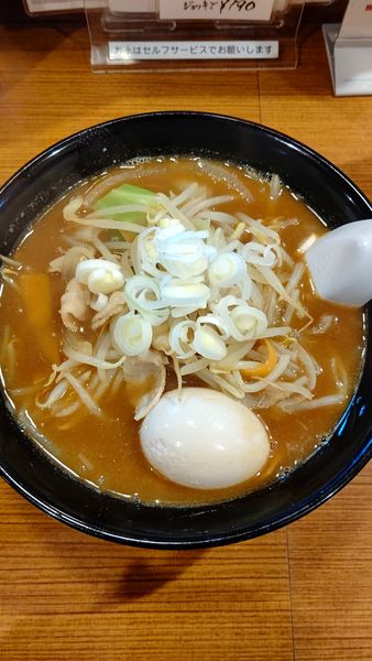 「カレーらーめん　840円」@手打ちらーめん はやぶさの写真