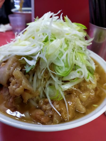 「大・つけ味・葱（麺硬め・脂・にんにく）」@ラーメン二郎 桜台駅前店の写真