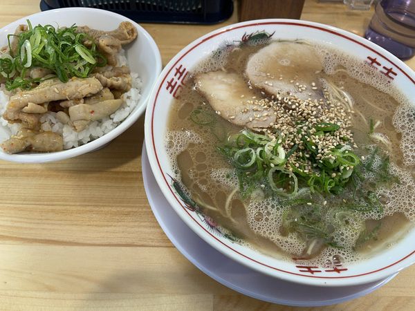 「博多ラーメン・モツまんま」@てっちゃんの写真